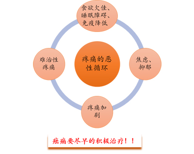 图片1副本.jpg