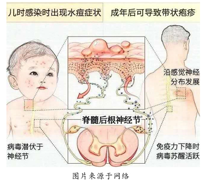 微信图片_20201023091101副本.jpg