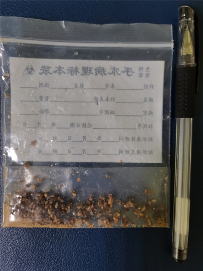 微信图片_20210204110820_副本.jpg